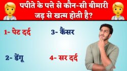 पपीते के पत्ते से कौन-सी बीमारी जड़ से खत्म होती है? जानिए सच GK Quiz